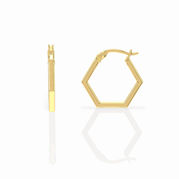 Hexagon Earrings